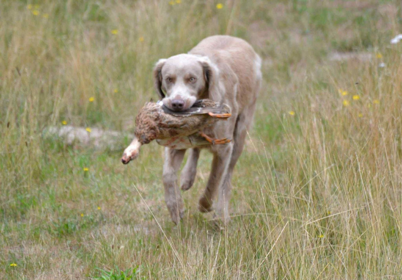 GHC Take a look at me now